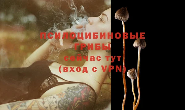 a pvp Белокуриха