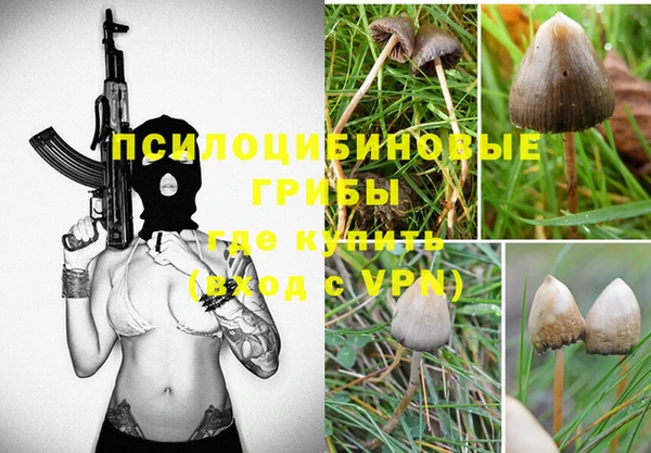 a pvp Белокуриха