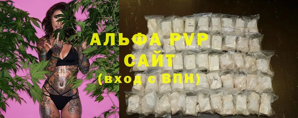 дживик Богородицк