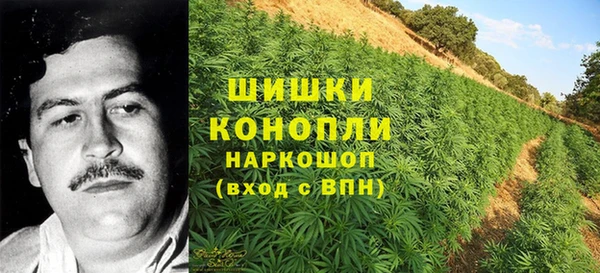 a pvp Белокуриха