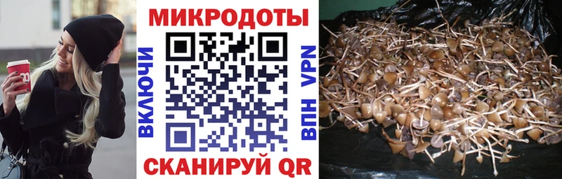 Галлюциногенные грибы GOLDEN TEACHER  гидра как войти  Оха  наркошоп 
